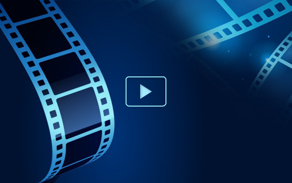 💕 sắc xuân 2026 rực rỡ trên mái trường tiểu học bình minh 💕